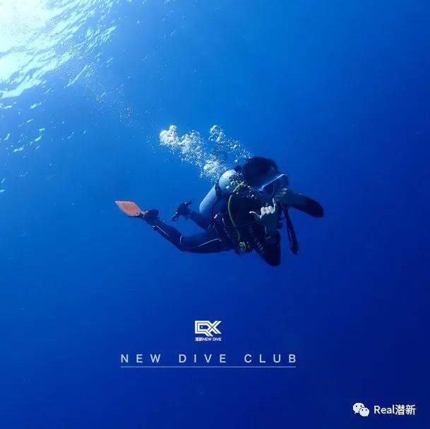 英文字母连接